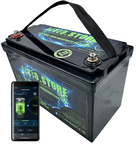 Batterie LiFePO4 24V 50Ah 1280Wh 100A BMS Lithium Serie bluetooth Litio Store